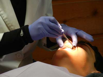 flipLightBox Image 1